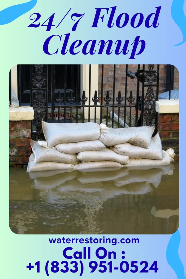 24/7 Flood Cleanup in Fowlkes, TN