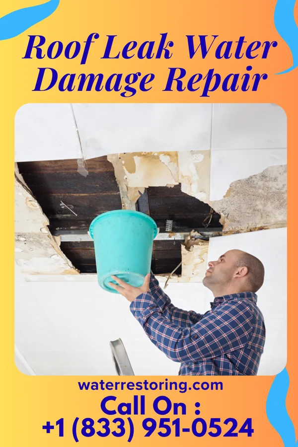 Roof Leak Water Damage Repair in Fowlkes, TN