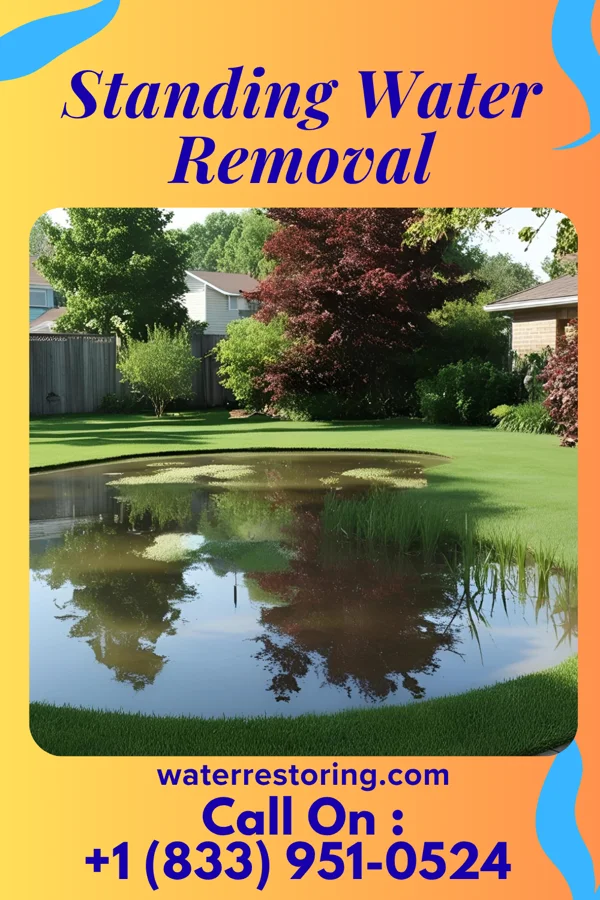 Standing Water Removal in Fowlkes, TN
